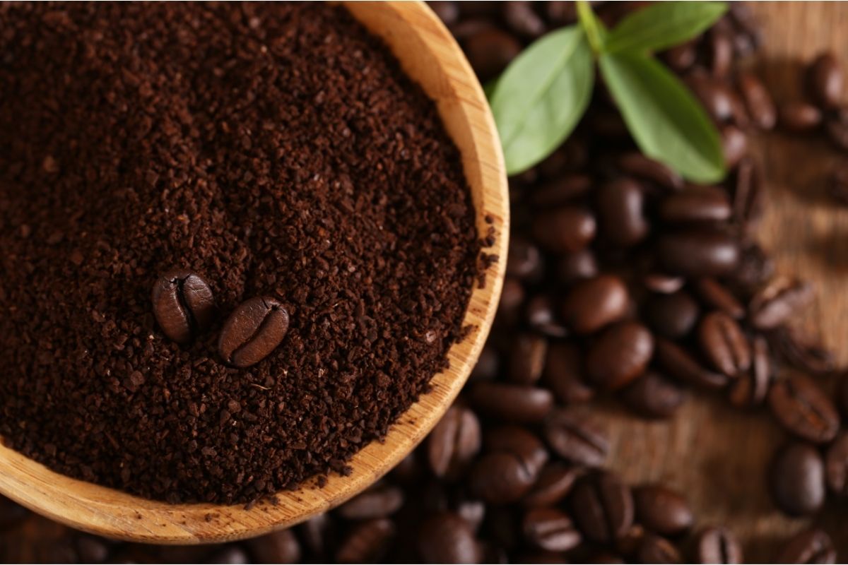 Are-Coffee-Grounds-Good-For-Plants