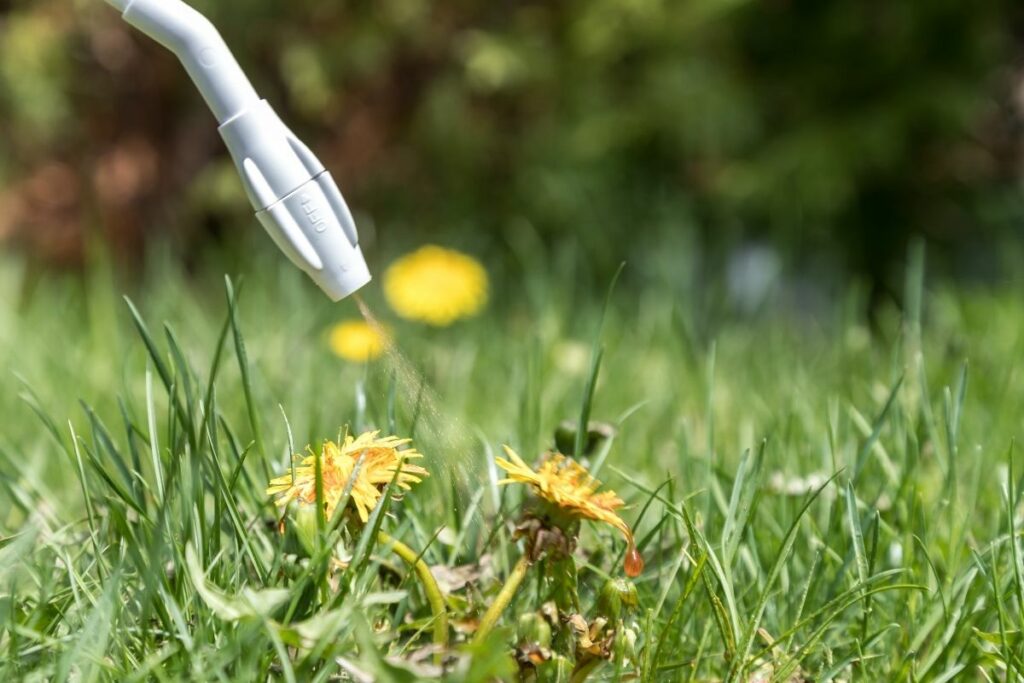 How Fast Does Roundup Work?