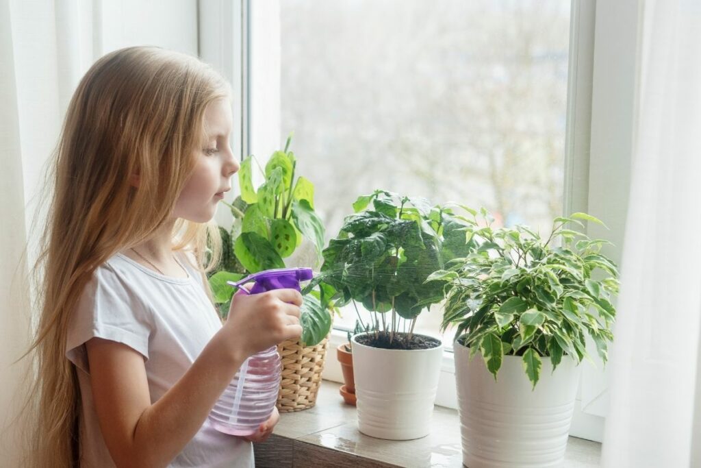 How Long Can Houseplants Go Without Water 