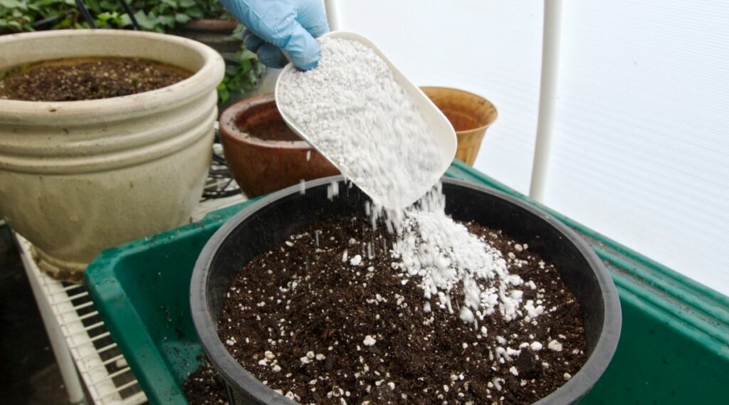 Using Perlite To Retain Water