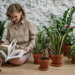 Best Indoor Plants if You don’t have a Green Thumb